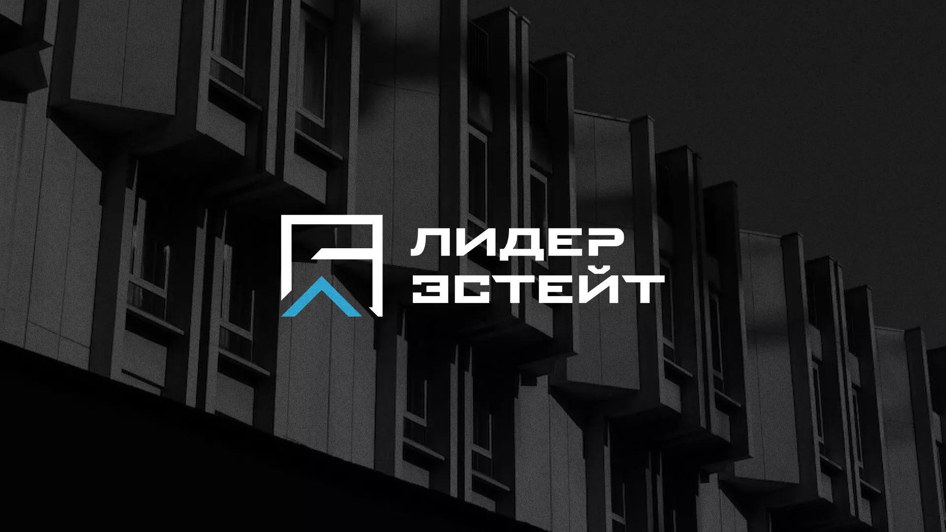 Разработка логотипа агентства недвижимости «Лидер Эстейт» в Оренбурге